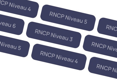 Sgp E Learn Interface Niveaux